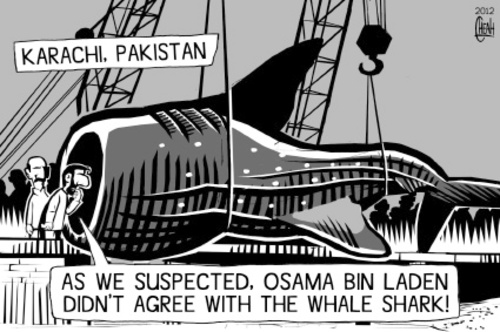 Cartoon: Whale shark in Pakistani waters (medium) by sinann tagged whale,shark,karachi,pakistan,osama,bin,laden