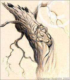 Cartoon: Tree spirit (medium) by Ingemar tagged trees,spirits