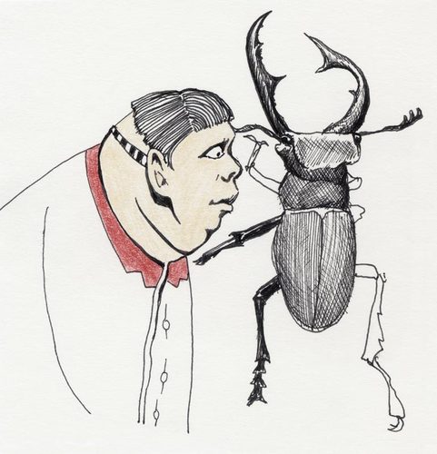 Cartoon: untitled (medium) by vokoban tagged beetle,bug,fat,freak