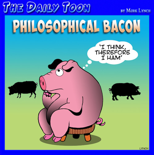 Cartoon: Bacon (medium) by toons tagged descartes,pigs,bacon,thinking,farmyard,meaning,of,life,descartes,pigs,bacon,thinking,farmyard,meaning,of,life