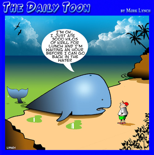 Cartoon: Beached whale (medium) by toons tagged whales,krill,water,safety,beached,whale,rescue,whales,krill,water,safety,beached,whale,rescue