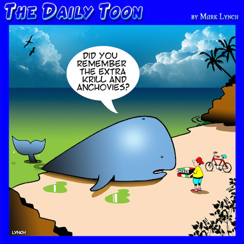 Cartoon: Beached whale (medium) by toons tagged whales,pizza,krill,anchovies,whales,pizza,krill,anchovies