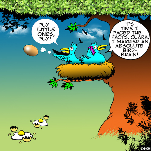 Cartoon: Birdbrain (medium) by toons tagged stupid,birdbrain,birds,nest,idiots,eggs,stupid,birdbrain,birds,nest,idiots,eggs