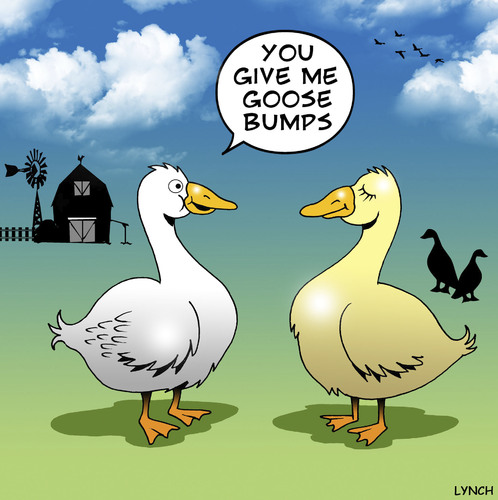 Cartoon: Goose bumps (medium) by toons tagged geese,goose,bumps,love,excitement,dating,farms,birds,ducks,farmyard