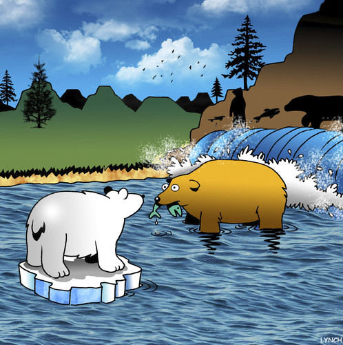 Cartoon: Hello stranger (medium) by toons tagged bears,global,warming,salmon,polar,bears,global,warming,salmon,polar