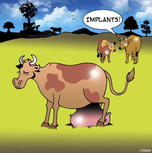 Cartoon: Implants (medium) by toons tagged implants,breasts,tits,cows,cosmetic,surgery