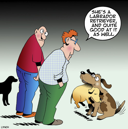 Cartoon: Labrador retriever (medium) by toons tagged labrador,dogs,retriever,canine,dog,trainer,labrador,dogs,retriever,canine,dog,trainer