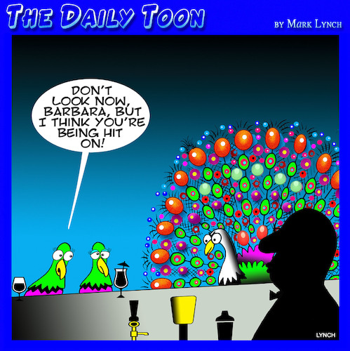 Cartoon: Peacocks (medium) by toons tagged pick,up,lines,peacock,singles,bar,pick,up,lines,peacock,singles,bar