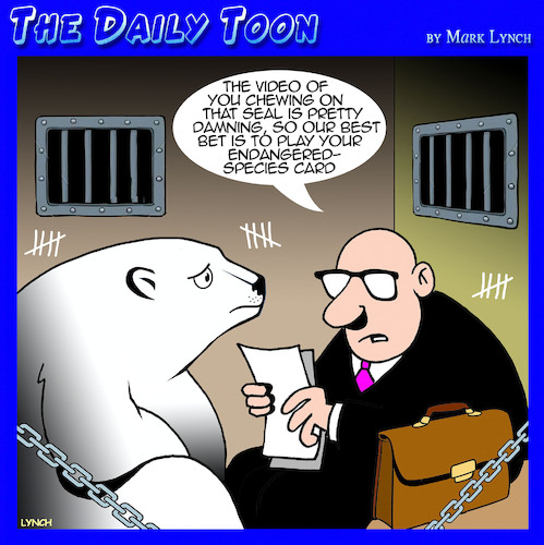 Cartoon: Polar bears (medium) by toons tagged endangered,species,polar,bear,jury,seals,lawyers,endangered,species,polar,bear,jury,seals,lawyers
