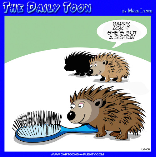 Porcupine love