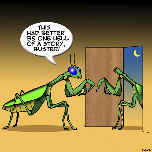 Cartoon: Praying mantis (medium) by toons tagged infidelity,praying,mantis,insects,infidelity,praying,mantis,insects