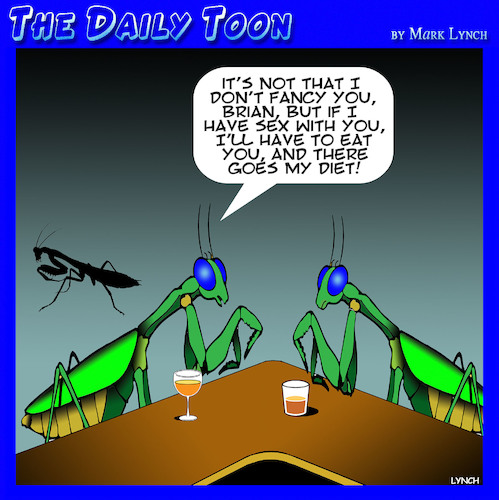 Cartoon: Praying Mantis (medium) by toons tagged dieting,insects,praying,mantis,one,night,stand,dieting,insects,praying,mantis,one,night,stand