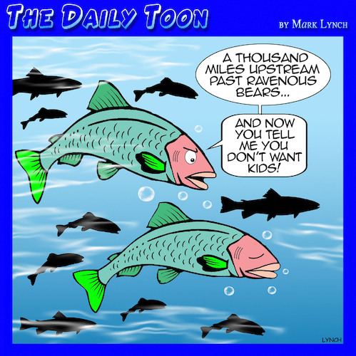Cartoon: Salmon spurning (medium) by toons tagged no,kids,salmon,upstream,childless,couples,no,kids,salmon,upstream,childless,couples