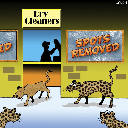 Cartoon: spots removed (medium) by toons tagged leopards,cats,dry,cleaning,giant