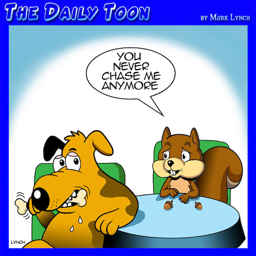 Cartoon: Squirrel chasing dog (medium) by toons tagged dog,chasing,squirrel,dog,chasing,squirrel