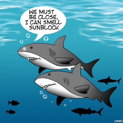Cartoon: Sunscreen (medium) by toons tagged sharks,feeding,frenzy,sunscreen,shark,attack,swimming,sharks,feeding,frenzy,sunscreen,shark,attack,swimming