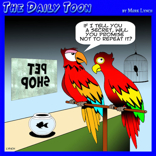 Cartoon: Talking parrot (medium) by toons tagged parrots,talking,parrot,pet,shop,parrots,talking,parrot,pet,shop