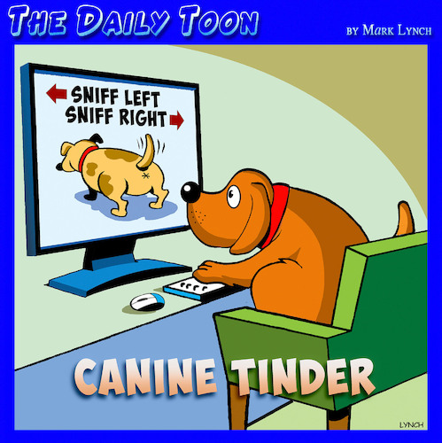 Cartoon: Tinder (medium) by toons tagged dogs,meeting,tinder,dates,dogs,meeting,tinder,dates