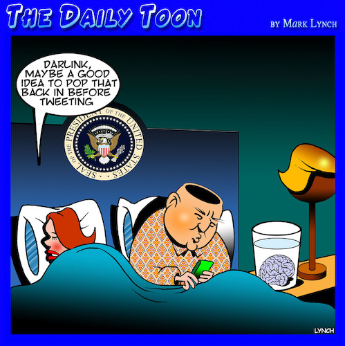 Cartoon: Trump tweets (medium) by toons tagged tweeting,donald,trump,usa,president,brainless,tweeting,donald,trump,usa,president,brainless