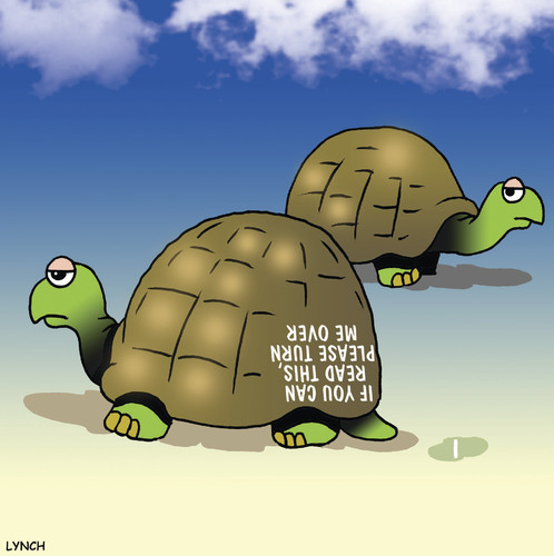 Cartoon: Turn me over (medium) by toons tagged tortoise,turtle