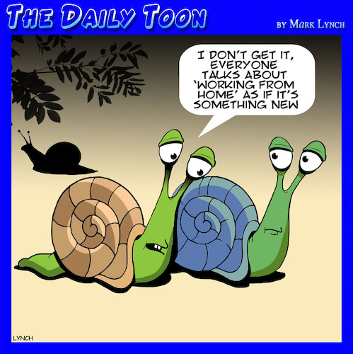 Cartoon: Working from home (medium) by toons tagged snails,work,from,home,snails,work,from,home
