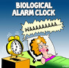 Cartoon: alarm clock (small) by toons tagged pregnant,biological,alarm,clock,babies,children,clocks