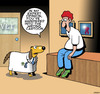 Cartoon: Expert opinion (small) by toons tagged dogs,vet,veterinarian,doctors,misunderstandings,cartoon,talking,dog