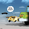 Cartoon: Now what (small) by toons tagged dog,chasing,cars,dogs