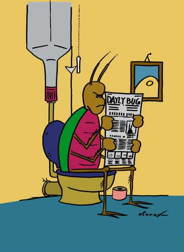 Cartoon: Dayly Bug (medium) by tiefenbewohner tagged klo,klolektüre,zeitung,insekten,käfer,bug,it,frühstück,insiderwitz