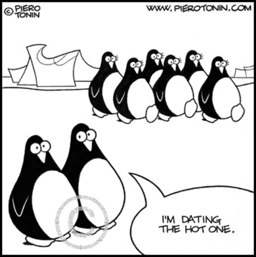 Cartoon: Hot girlfriend (medium) by Piero Tonin tagged piero,tonin,penguin,penguins,animal,animals,love,relationship,relationships,date,dates,dating