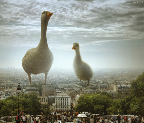 Cartoon: I Have Also Seen This in Paris (medium) by BenHeine tagged paris,france,montmartre,hill,people,crowd,foule,scary,funny,wallpaper,highres,poster,science,fiction,humor,scale,echelle,invasion,aliens,duck,bird,animal,photo,manipulation,light,lumiere,tourism,ben,heine,art,family,together,district,texture,canard,copyri