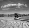 Cartoon: Symphony (small) by BenHeine tagged lessive rochefort belgium ben heine photography art cloud natire landscape artistery samsung nx10 composition tree symphony music elements curves courbes