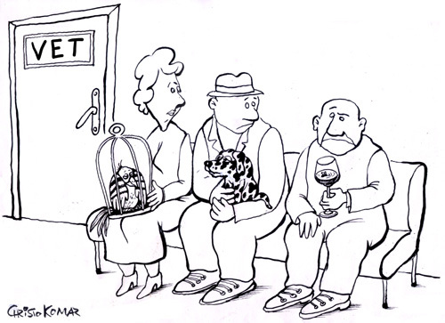 Cartoon: vet (medium) by Christo Komarnitski tagged fly,veterinarian,animal