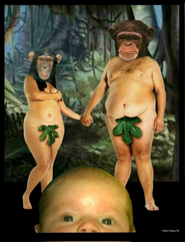 Cartoon: Adam and Eve (medium) by willemrasingart tagged evolution,