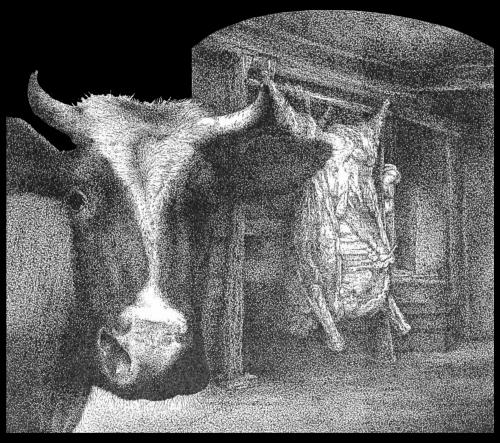 Cartoon: The ox (medium) by willemrasingart tagged rembrandt,