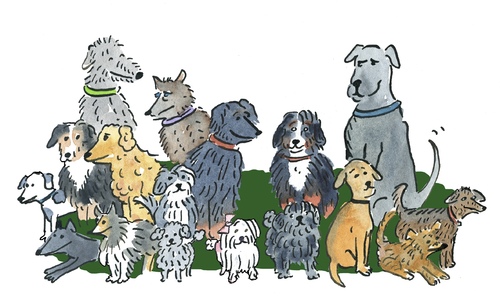 Cartoon: Hund Hunde Rudel (medium) by sabine voigt tagged hund,hunde,rudel,haustier,futter,freunde,freundschaft,tierarzt