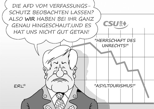 AfD Verfassungsschutz AfD Verfassungsschutz
