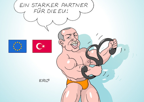 Cartoon: Alles korrekt (medium) by Erl tagged politik,türkei,präsident,erdogan,säuberung,verhaftungen,beschneidung,grundrechte,gewaltenteilung,demokratie,beeinflussung,justiz,recht,gesetz,rechtsbeugung,kampf,militär,einmarsch,syrien,afrin,nationalismus,autokratie,rechtspopulismus,dialog,eu,beitritt,bewerbung,bodybuilding,stärke,karikatur,erl,politik,türkei,präsident,erdogan,säuberung,verhaftungen,beschneidung,grundrechte,gewaltenteilung,demokratie,beeinflussung,justiz,recht,gesetz,rechtsbeugung,kampf,militär,einmarsch,syrien,afrin,nationalismus,autokratie,rechtspopulismus,dialog,eu,beitritt,bewerbung,bodybuilding,stärke,karikatur,erl