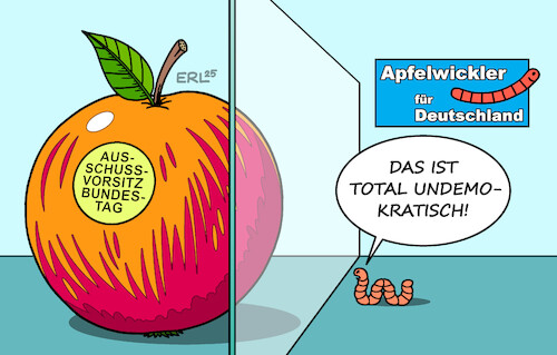 Ausschussvorsitz