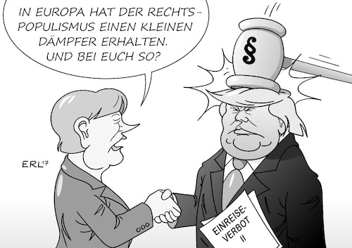 Dämpfer Dämpfer