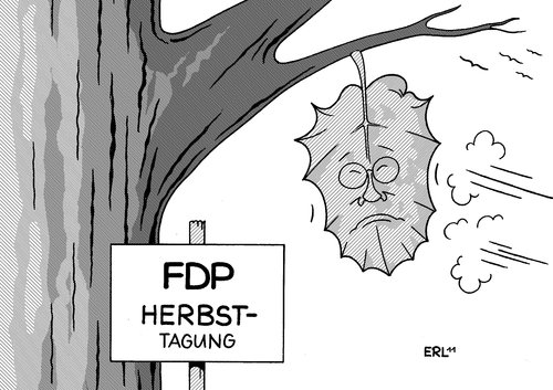 FDP Herbsttagung