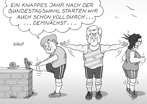 Groko Groko