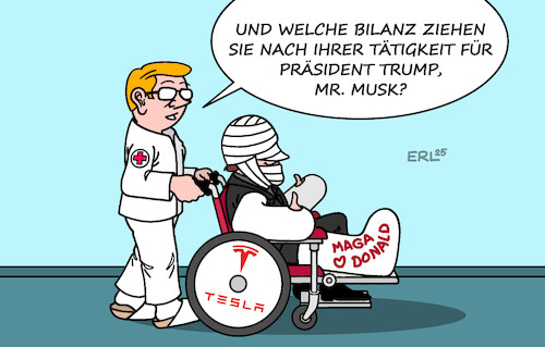 Musk Bilanz Musk Bilanz