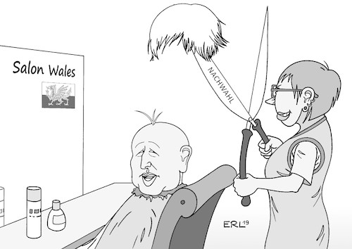 Nachwahl Wales