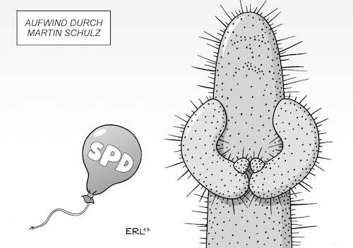 Schulz Merkel Schulz Merkel