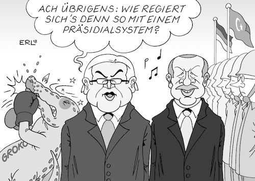 Steinmeier und Erdogan Steinmeier und Erdogan