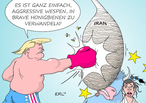 Trump Iran II