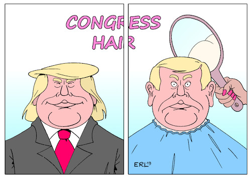 Trump Kongress