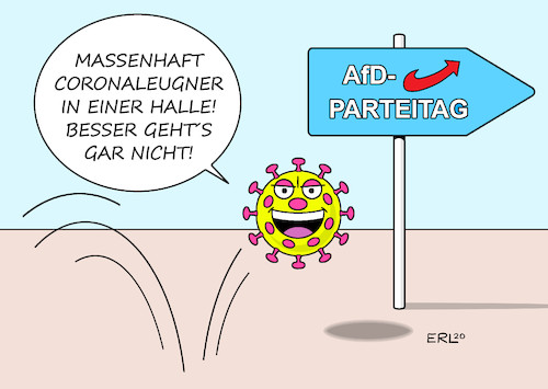 AfD-Parteitag