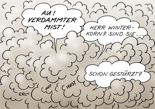 Winterkorn